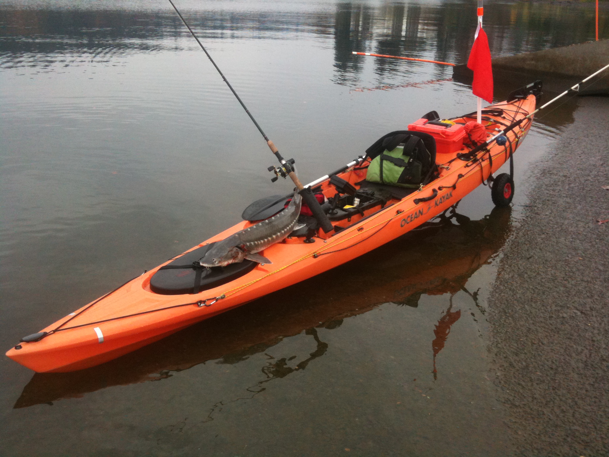 Ocean Kayak Trident 15 Angler Canoe & Kayak